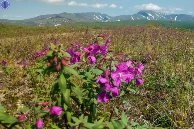 Последний танк Чукотки