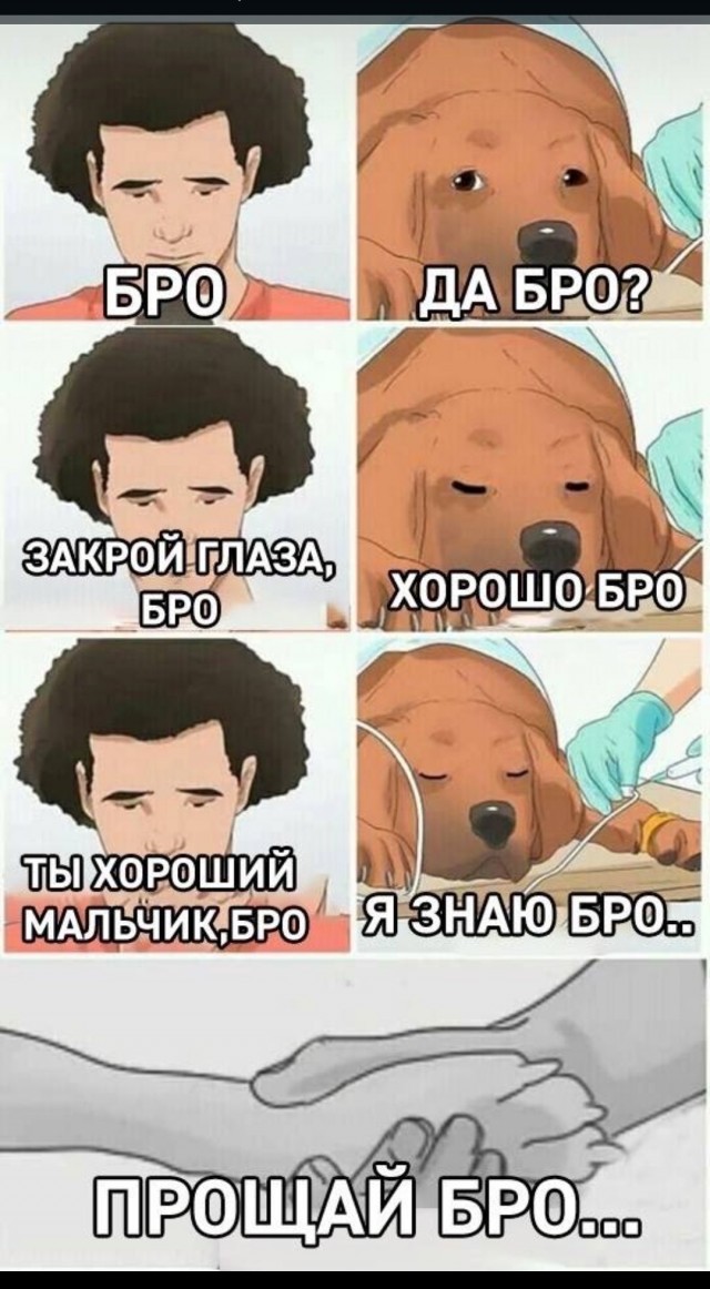 Пост одной картинки
