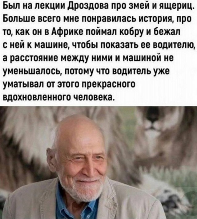 Так себе картинки 10.03.25