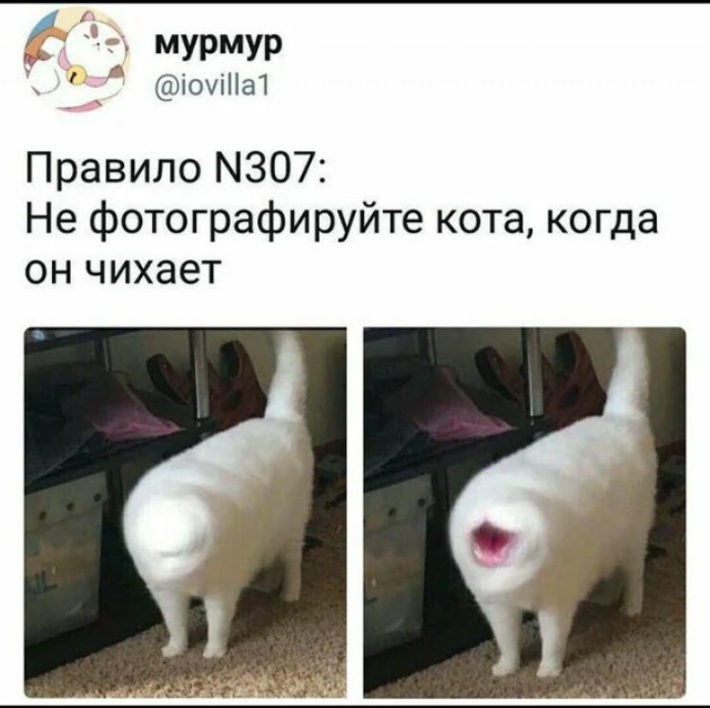 Совет начинающим фотографам