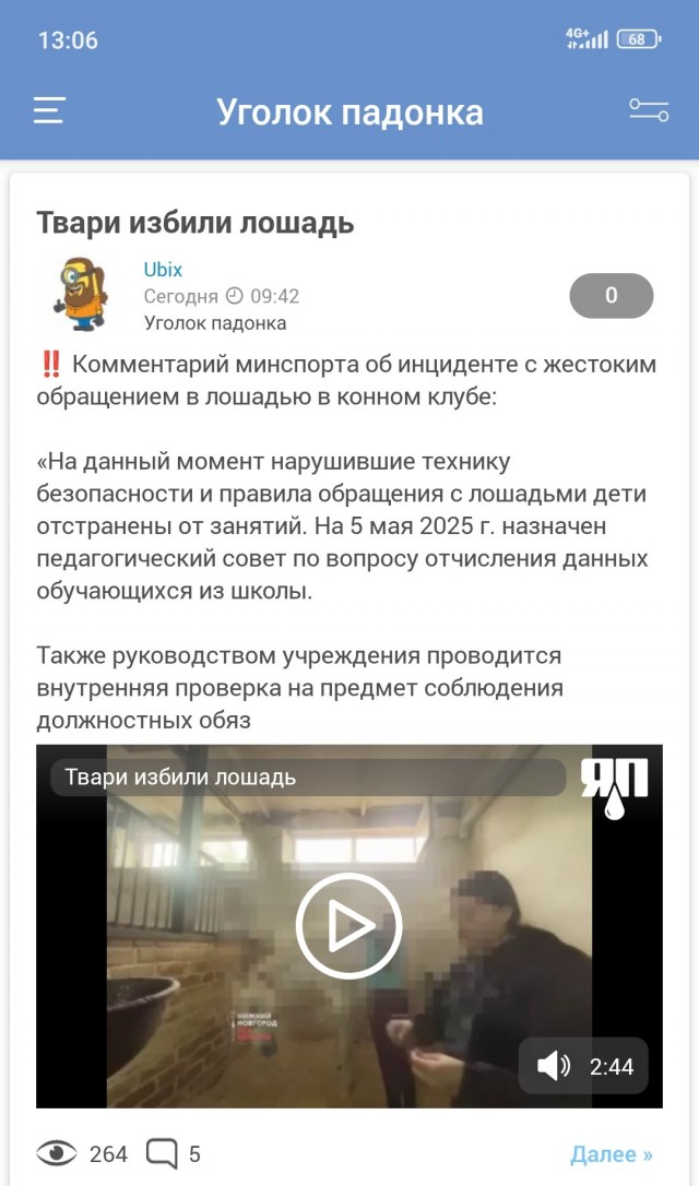 Компания девочек жестоко избила лошадь в Нижнем Новгороде.
