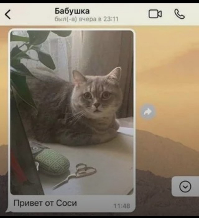 Как всегда!