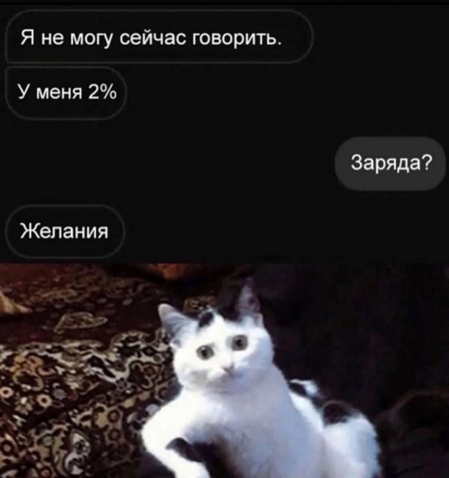 ТРРРидцать тРРРи от 19 июня