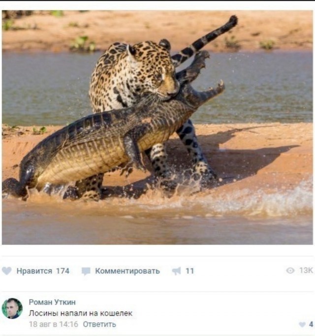 Юмор для тех, кто уже повзрослел и понял, что «выходные» — это просто два дня на уборку
