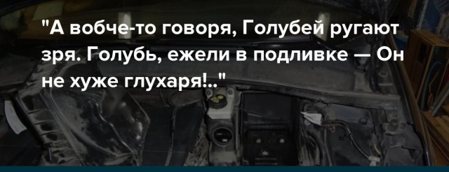 Просто бабуля птичек кормит... Они же хорошие