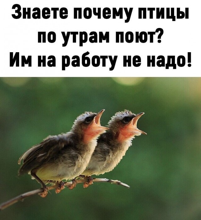 Картинок немного в среду утром