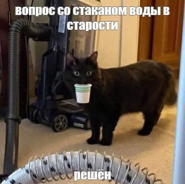 Маленькая пятница 24.09