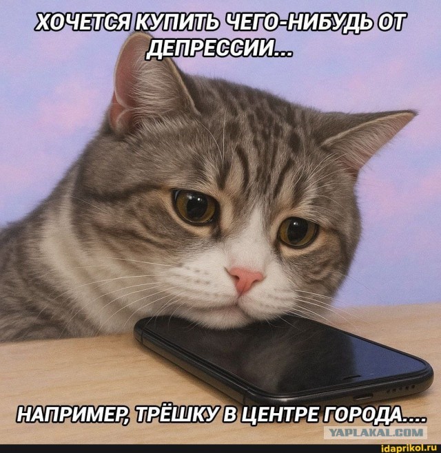 Веселое настроение в картинках (06.10.2025)