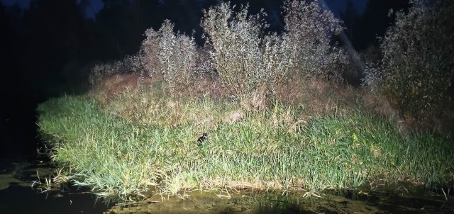 Рыбалка на реке Березина. Беларусь