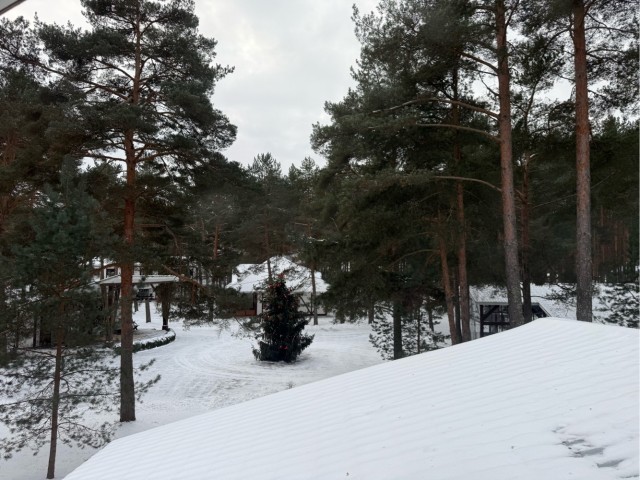 Что у яповцев за окном