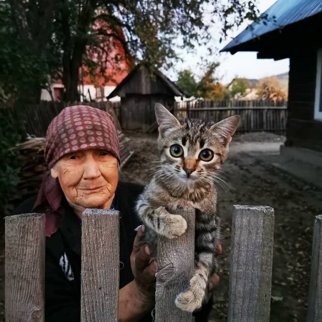 День дедушек.