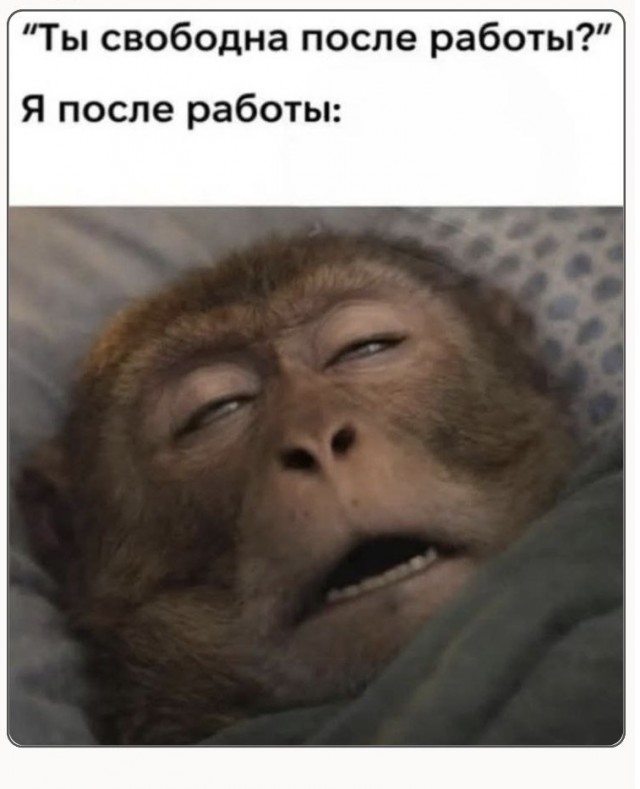 Субботние картинки