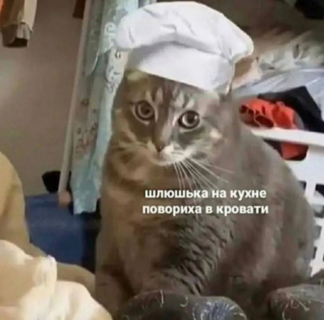 Веселые картинки в пятницу (10.07)