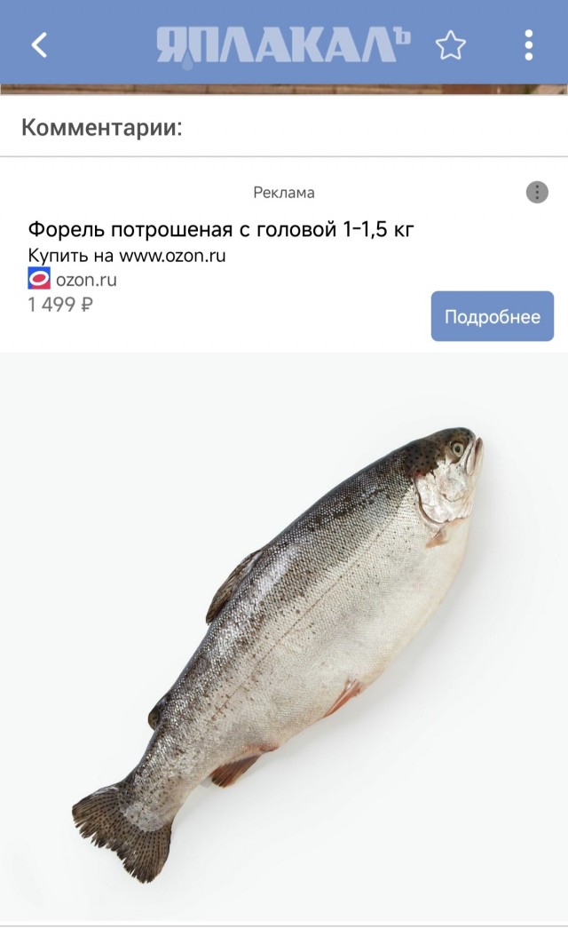 Какие места сейчас на сайте онлайн?