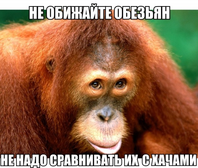 Документальный фильм BBC