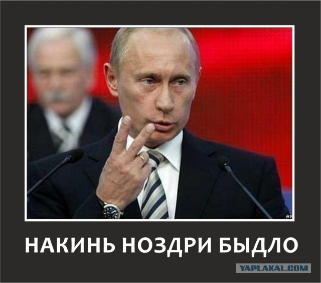 Я даже не знаю, как это назвать.