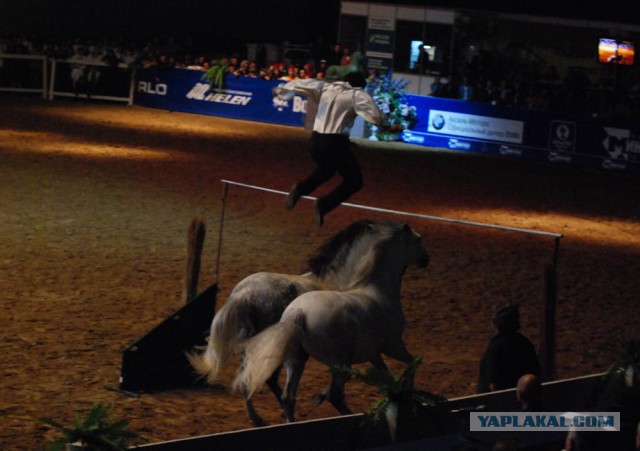 Скоро Год Лошади)))