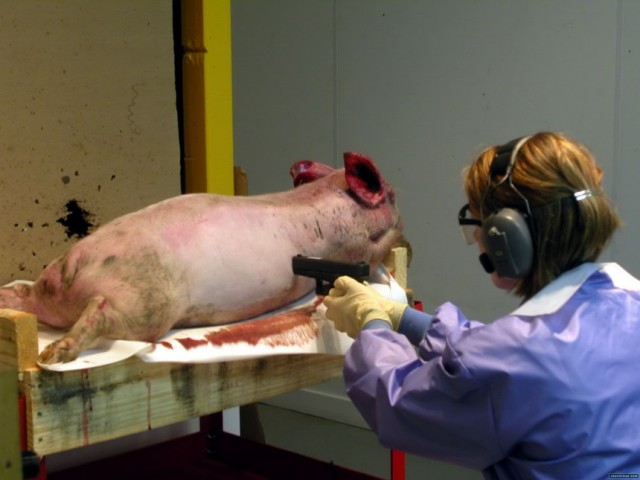 Пиф! Паф! Ой-ой-ой!