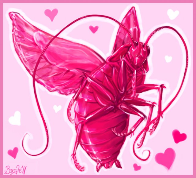 Что японцы знают о России? Забавная модница.