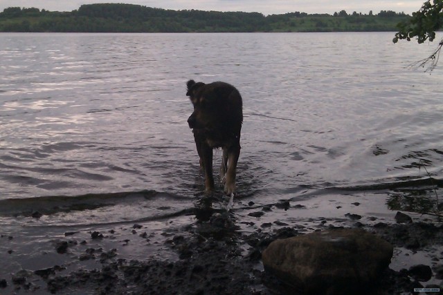 Просто выходные...