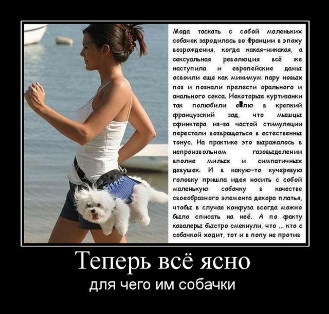 Такие сотрудники ДПС вызывают только улыбку )))