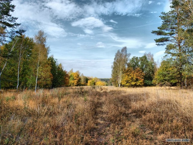 Золотая осень