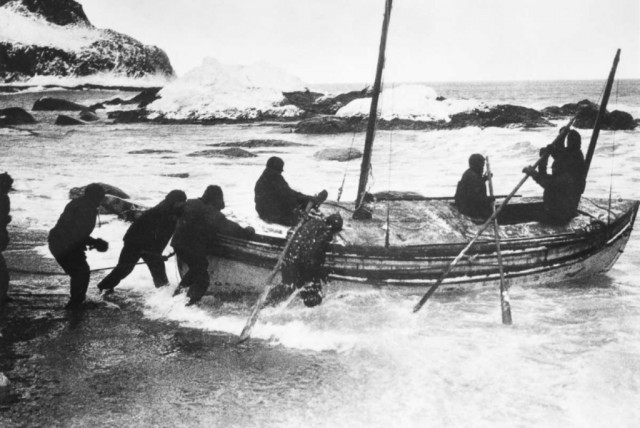 История выживания среди льдов Антарктики