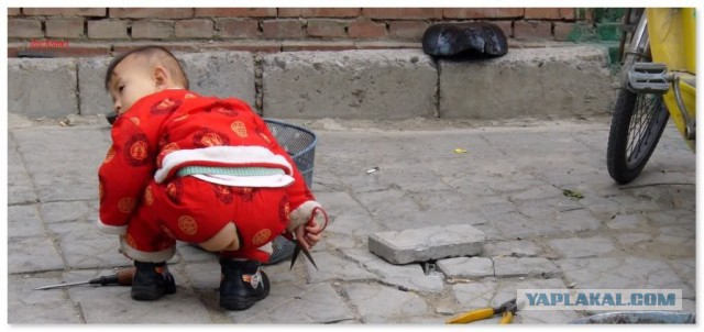 За что я люблю китайцев