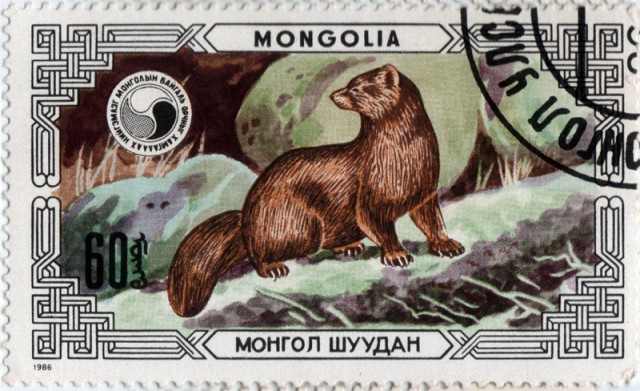 Находка при разборе антресолей