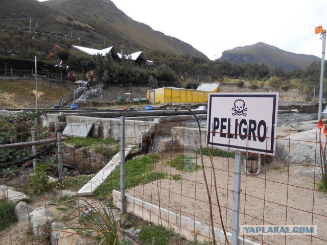 Рыбная ферма. Эквадор