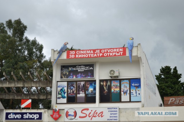 Европейцы о Москве: что бесит, что удивляет, а что вызывает зависть