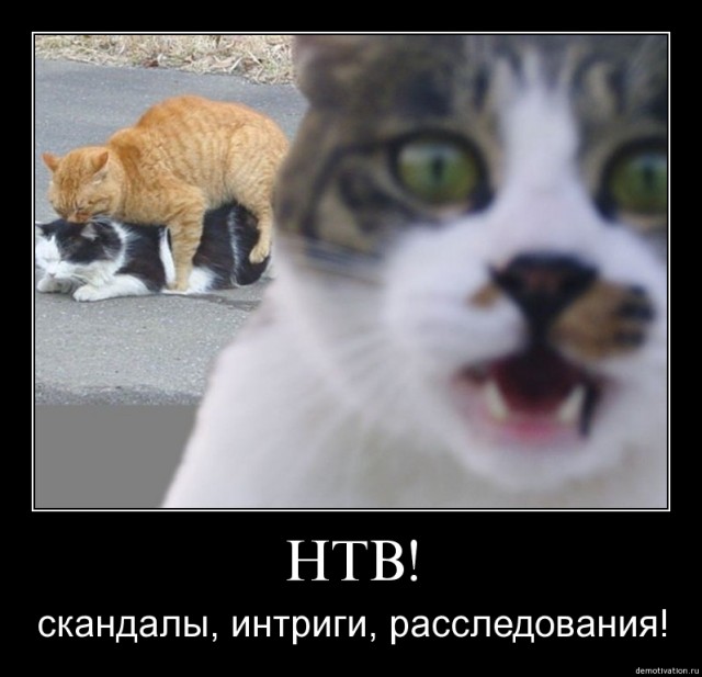 Древние египтяне в Австралии