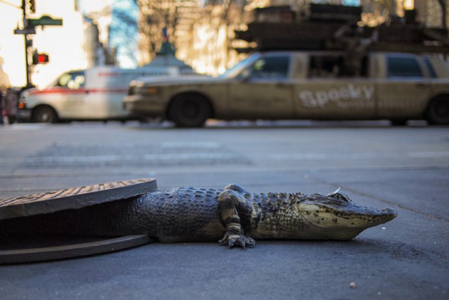 Подборка идиотских фотографий часть 3