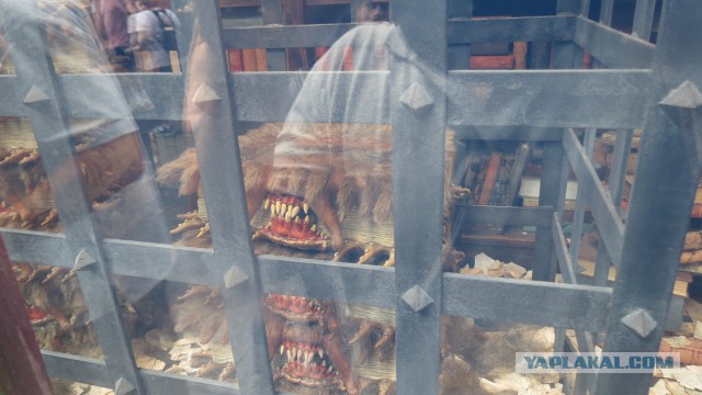 Флорида.Орландо.