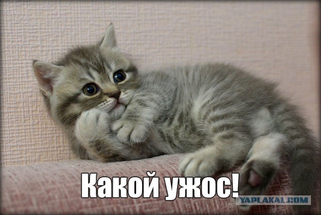 О чистоплотности девушек