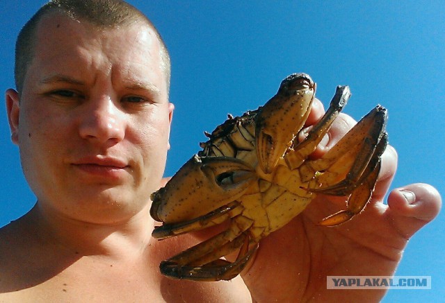 Как я ездил на рыбалку, а поймал раков