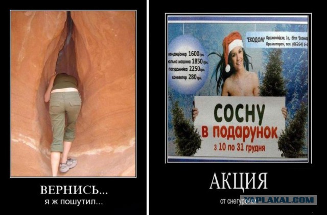 Идиотские надписи и маразмы в картинках