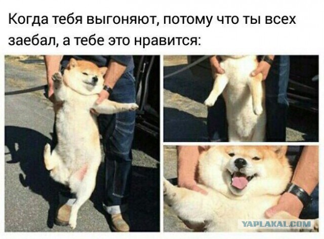 Подборка интересных и веселых картинок