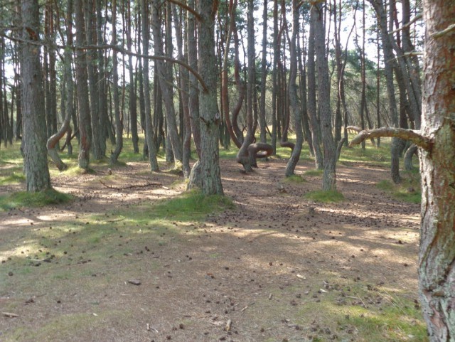 Калининград