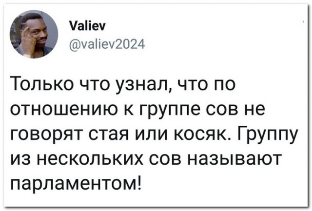 Не очень адекватный юмор