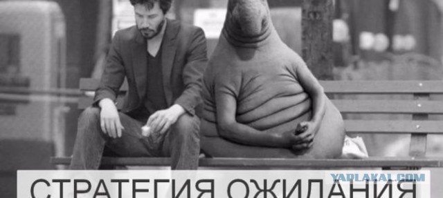 Нашли тайник в глухом лесу. Вскрываем загадочный контейнер