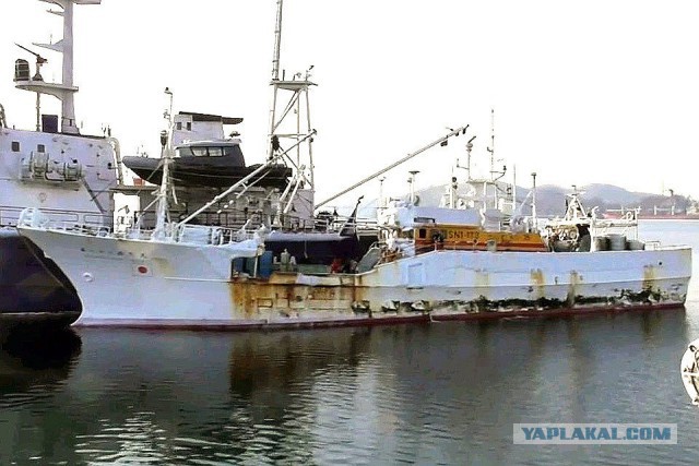 Задержание сотрудниками Пограничного управления ФСБ России по Приморскому краю японского судна