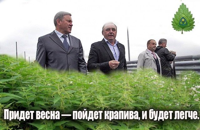 Как доллар может оставить россиян без зубов ...