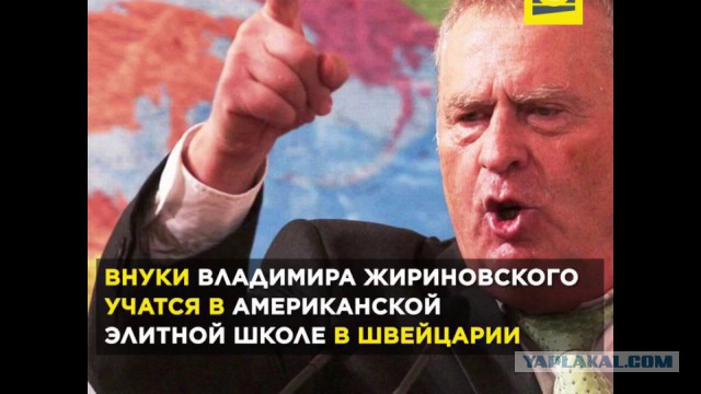 Дочь Навального поступила в Стэнфорд
