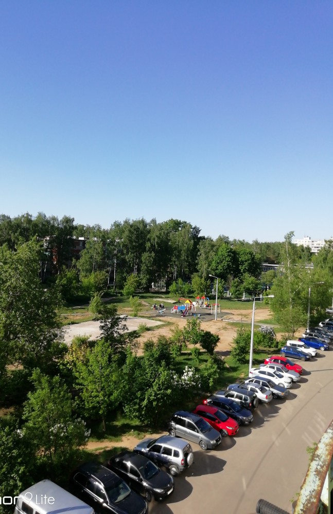Лето, делимся видом из окна