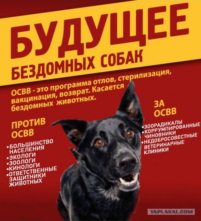 Почему люди не любят зоо(защитников)шизу?