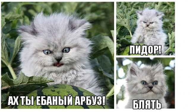 Это просто мячик!