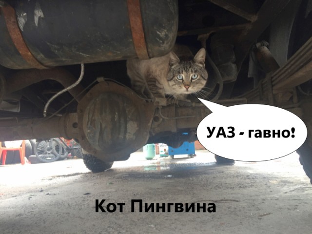 Коротко о ЯПлакал в картинках
