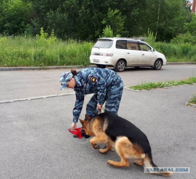 В Москве девушка с сайта знакомств ушла по-английски, украв iPhone и деньги, но забыла свои трусы
