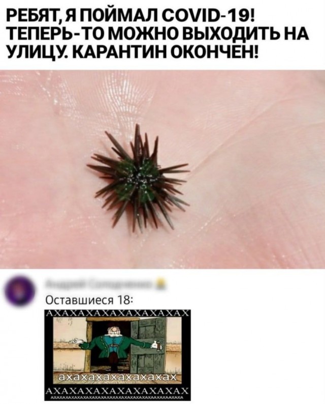 Веселые картинки 29.05.20